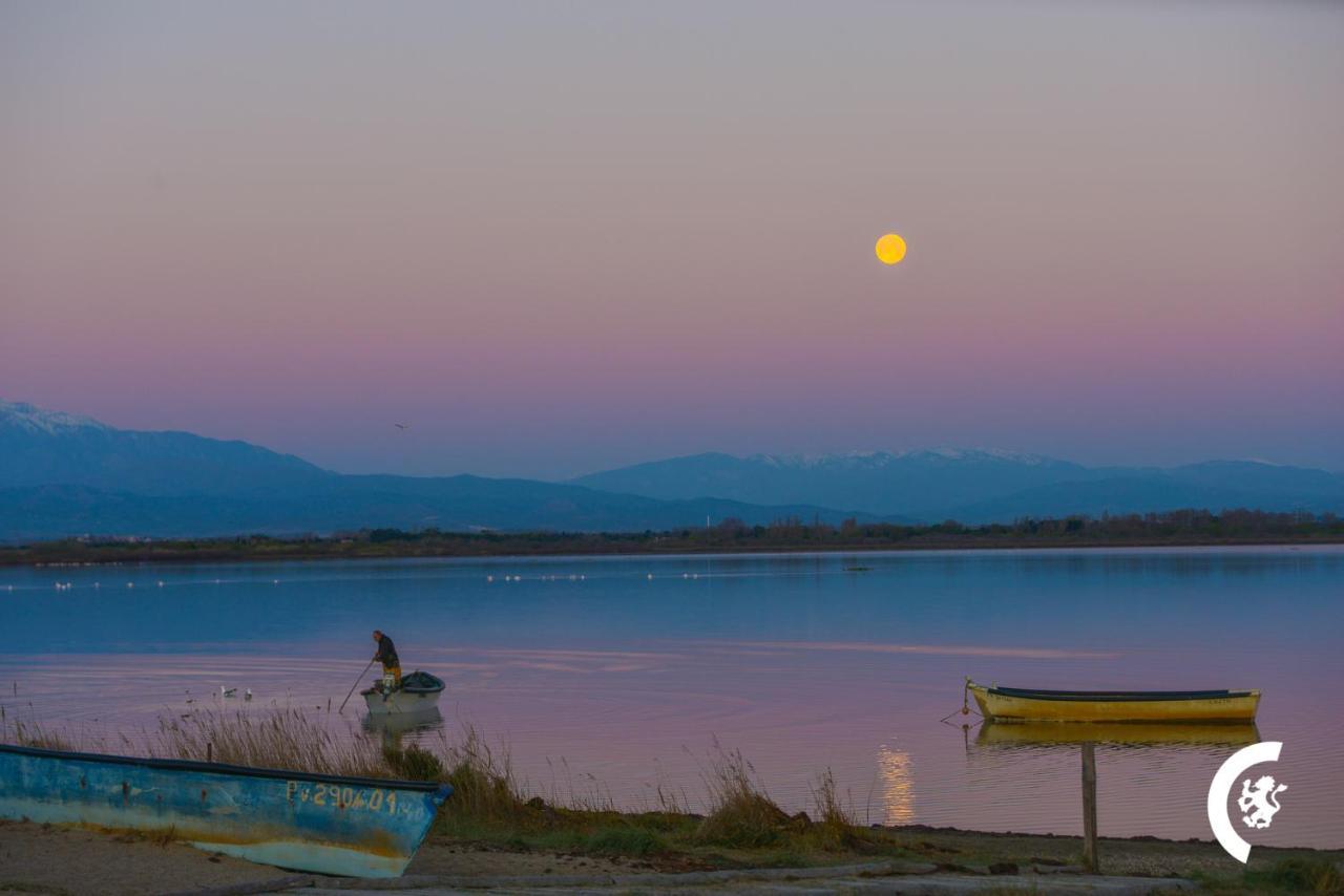 "Mer" Sejour Detente Tout Confort, Magnifique Vue Sur La Mer Canet Exterior foto